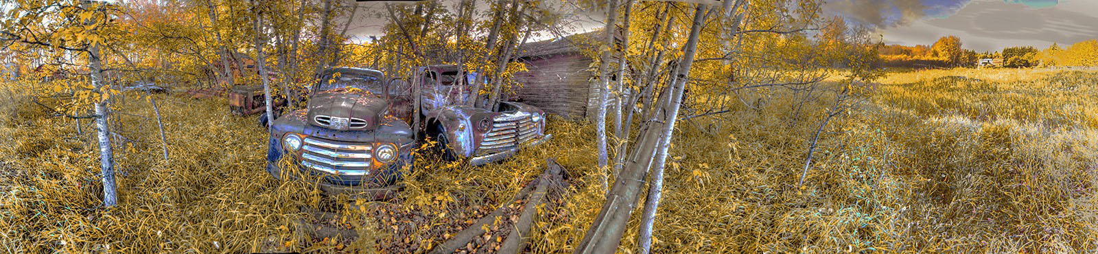 Golden Oldtimers 231567