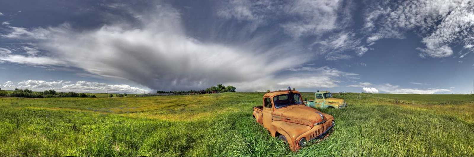 Internationals 167326